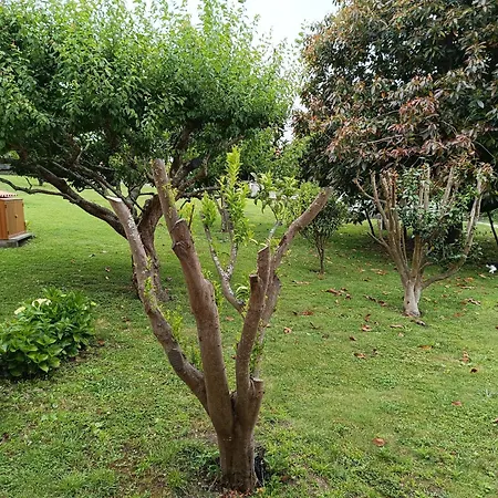 شقة Casa Padrinan سانكسينكسو