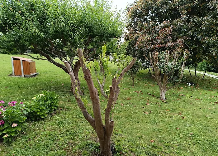 アパート Casa Padrinan サンシェンショ