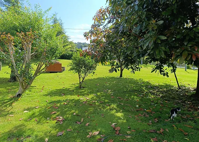 شقة Casa Padrinan سانكسينكسو